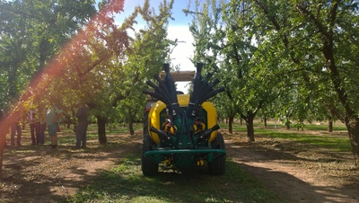 4 lower cannons and upper double Olive sprayhead  – almond trees